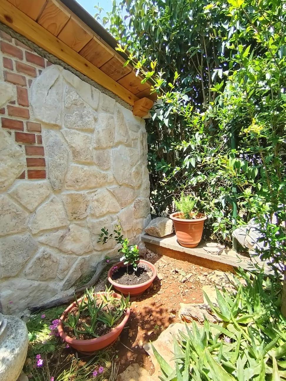 Mihaela Apartma *